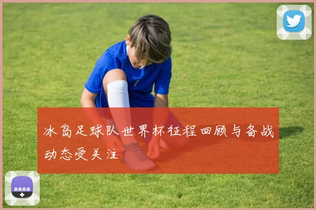 冰岛足球队世界杯征程回顾与备战动态受关注