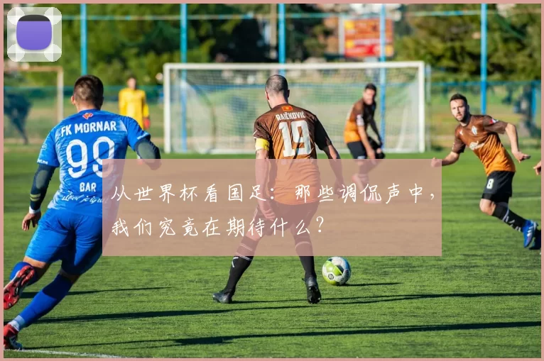 从世界杯看国足:那些调侃声中,我们究竟在期待什么?
