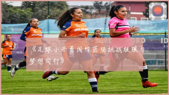 《足球小子勇闯绿茵场挑战极限与梦想同行》