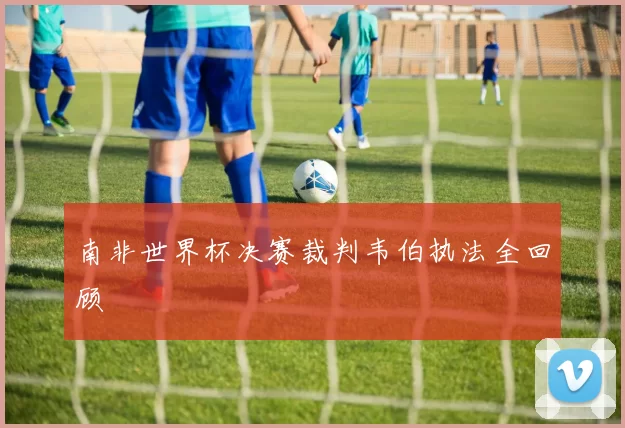 南非世界杯决赛裁判韦伯执法全回顾