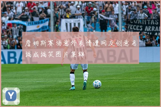 詹姆斯赛场意外表情遭网友创意恶搞成搞笑图片集锦