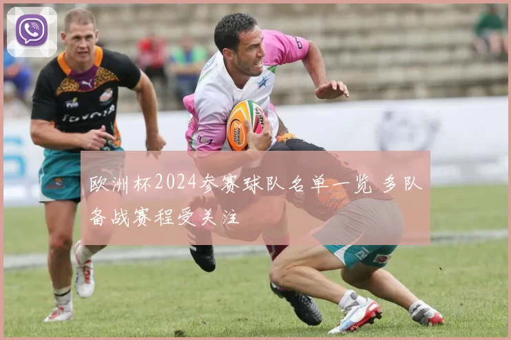 欧洲杯2024参赛球队名单一览 多队备战赛程受关注