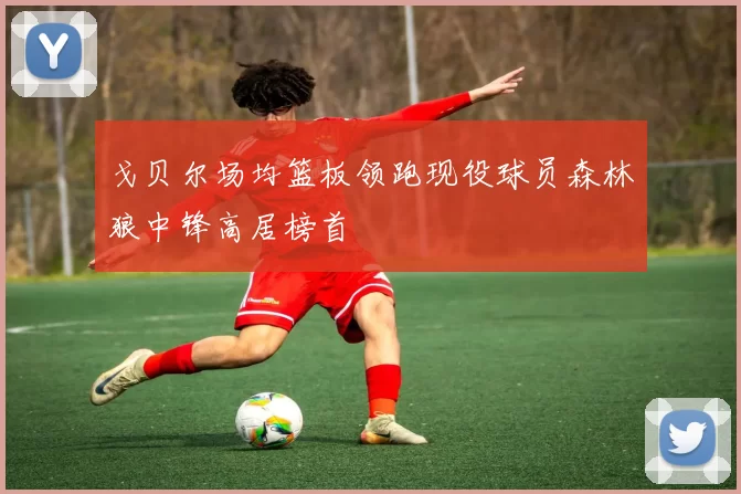 戈贝尔场均篮板领跑现役球员森林狼中锋高居榜首