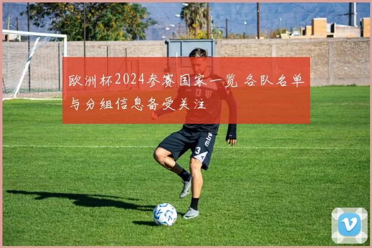 欧洲杯2024参赛国家一览 各队名单与分组信息备受关注
