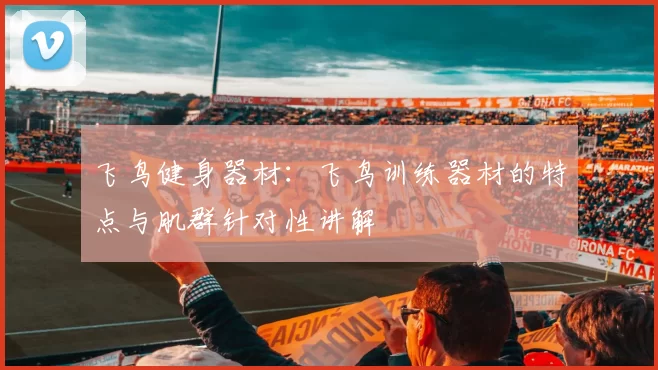 飞鸟健身器材：飞鸟训练器材的特点与肌群针对性讲解
