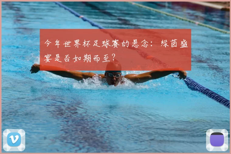 今年世界杯足球赛的悬念：绿茵盛宴是否如期而至？