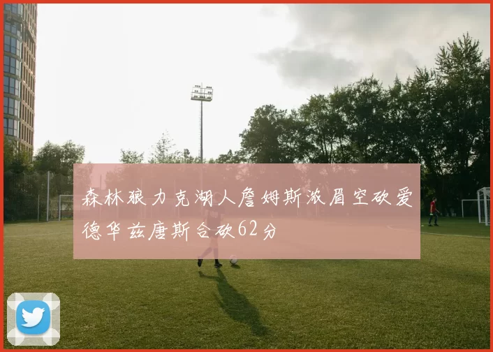 森林狼力克湖人詹姆斯浓眉空砍爱德华兹唐斯合砍62分