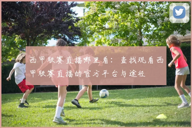 西甲联赛直播哪里看：查找观看西甲联赛直播的官方平台与途径