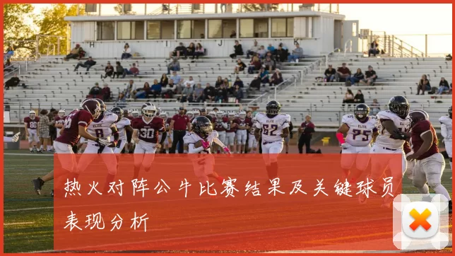 热火对阵公牛比赛结果及关键球员表现分析