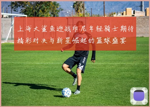上海大鲨鱼迎战印尼年轻骑士期待精彩对决与新星崛起的篮球盛宴
