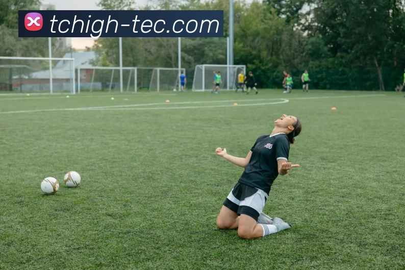 华体会app平台生态图